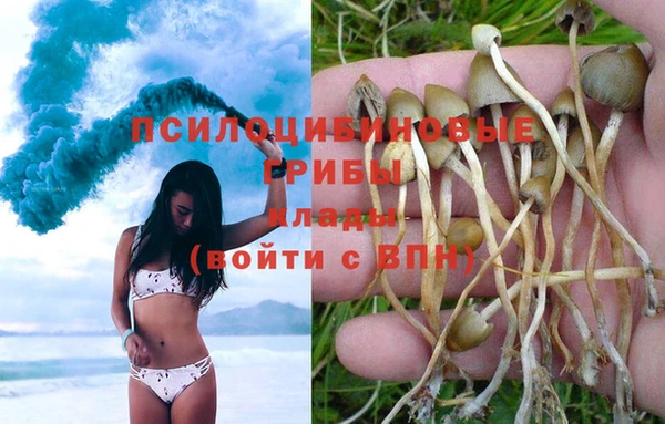 соль курить ск Верхний Тагил