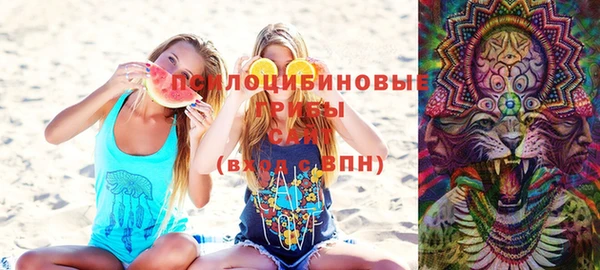 соль курить ск Верхний Тагил