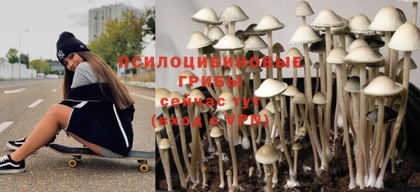 бошки Верхнеуральск